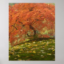 Suche nach acer poster Herbst
