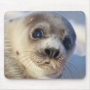 Suche nach harfe mousepads Tier