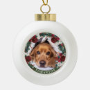 Suche nach hund kugel ornamente Für haustiere