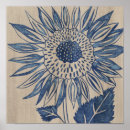 Suche nach sunflower poster Sonnenblumen