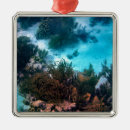 Suche nach korallenriffe ornamente Unter dem meer