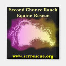 Suche nach rettung magnete Pferd