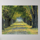 Suche nach louisville poster Baum