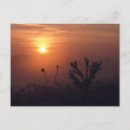 Suche nach wintersonnenuntergang Himmel