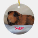 Suche nach gänseblümchen ornamente Verzierung
