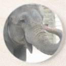 Suche nach afrikanischer elefant untersetzer Pachyderm