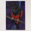 Suche nach parrot puzzle Vogelvogel