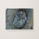Suche nach eulen foto puzzle Natur