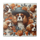 Suche nach spaniel fliesen Welpen