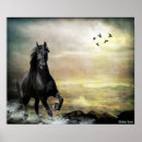 Suche nach black sea poster Ocean