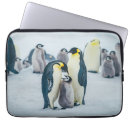Suche nach pinguin laptop schutzhüllen Vogel