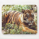 Suche nach sumatran mousepads Natur
