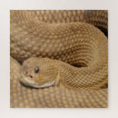 Suche nach basilisk Reptil