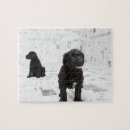 Suche nach voll puzzle Spaß