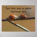Suche nach ladybug poster Zitat