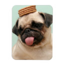 Suche nach pug magnete Dog