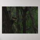 Suche nach wild lebende tiere poster Wälder