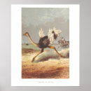 Suche nach vogel strauß poster Illustration