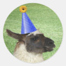 Suche nach lustiges lama aufkleber Alpaka