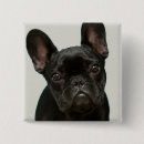 Suche nach französische bulldoggen buttons Welpe