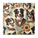 Suche nach collie fliesen Welpe