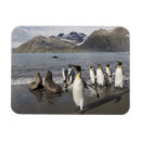 Suche nach basteln magnete Blau