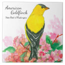 Suche nach souvenir fliesen Staat