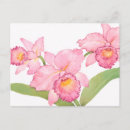 Suche nach exotisch postkarten Blume