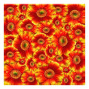 Suche nach orange gerbera Durchtränkt