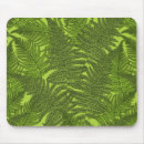 Suche nach farne mousepads Wald