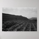 Suche nach amphitheater poster Vintag