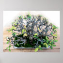 Suche nach bonsai poster Baum