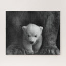 Suche nach weißer und schwarzer bär puzzle Für alle
