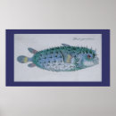 Suche nach tropical fish poster Ocean
