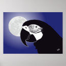 Suche nach papageien poster Ara