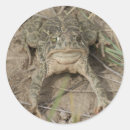 Suche nach amphibien aufkleber Jede person