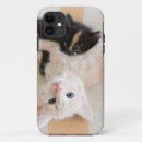 Suche nach fokus iphone hüllen Babytiere