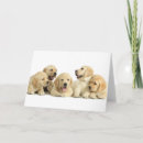 Suche nach wurfs karten Welpe