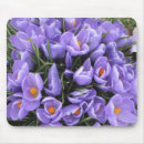 Suche nach krokus blume mousepads Mit blumen