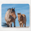 Suche nach stallion mousepads Wildpferd