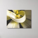 Suche nach nahaufnahme leinwandbilder Blume