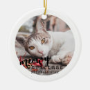 Suche nach katzen ornamente Ferien