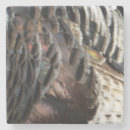 Suche nach truthahn untersetzer Wildtruhe