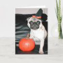 Suche nach haloween karten Katze