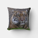 Suche nach bengalischer tiger kissen Wild
