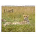 Suche nach gepard kalender Afrikanisch