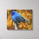 Suche nach zweig leinwandbilder Blau