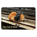 Suche nach wie süß es ist magnete Jede person