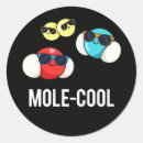 Suche nach mole aufkleber Wissenschaft