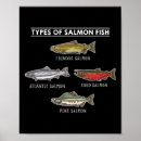 Suche nach fish poster Ozean